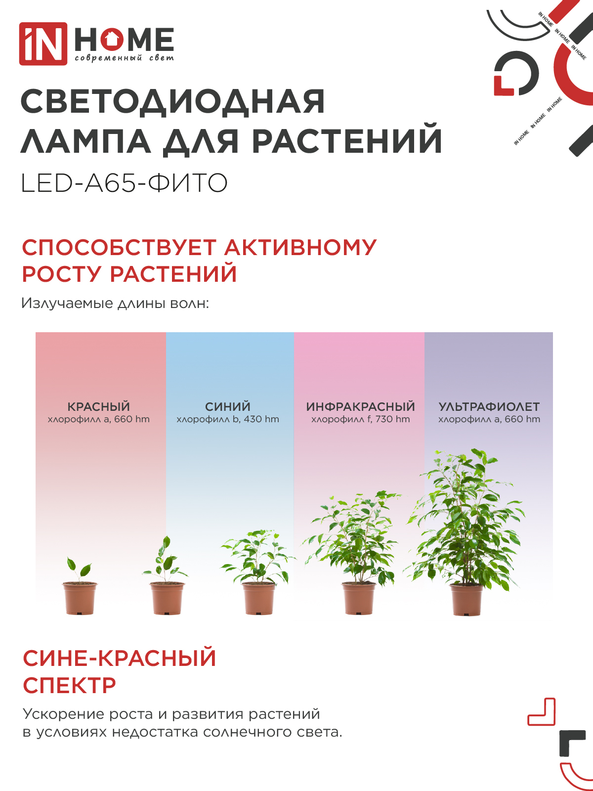 Лампа светодиодная LED-A65 STD-ФИТО красно-синий спектр 25Вт 230В Е27 IN HOME в Уссурийске