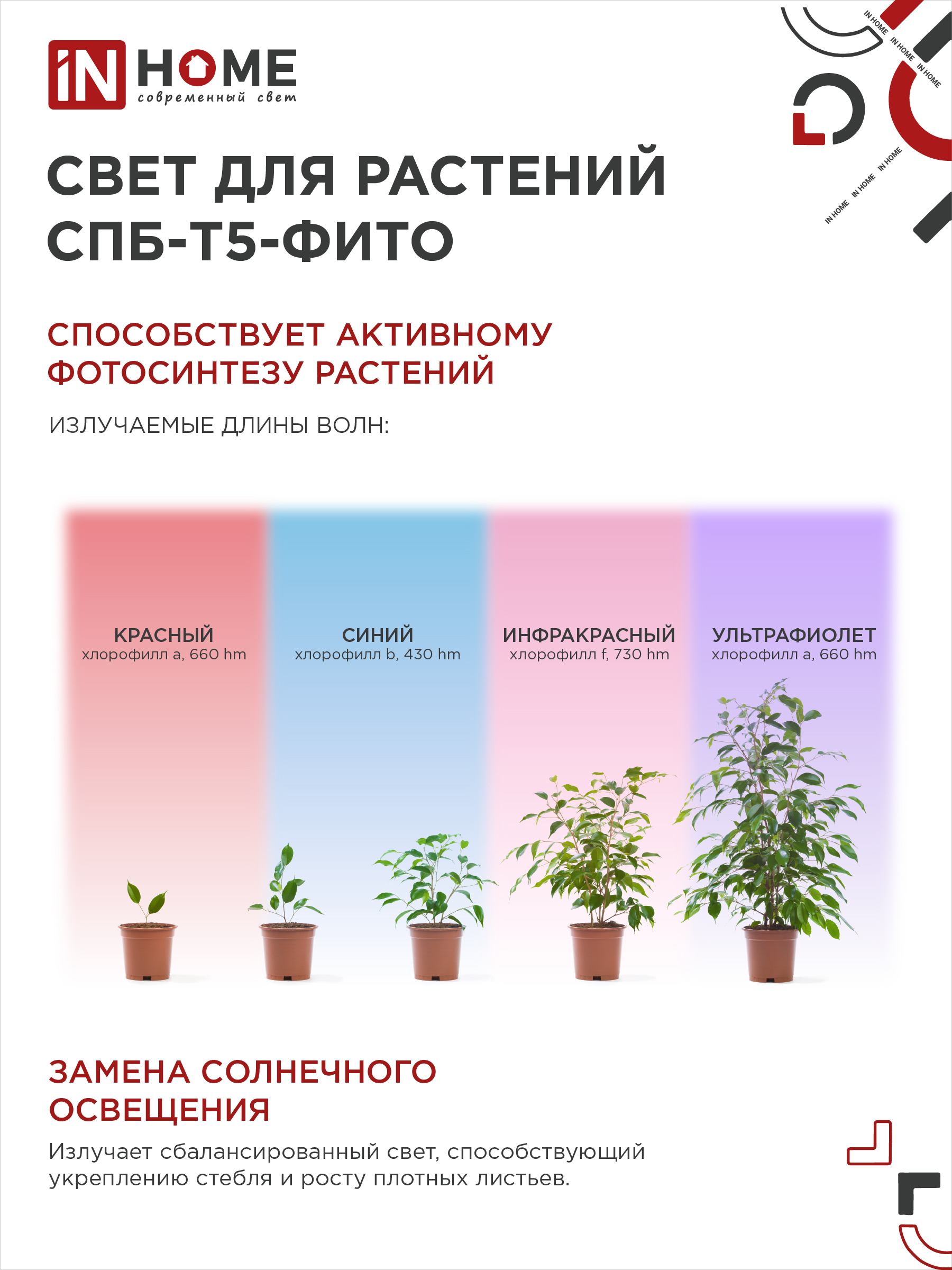 Светильник светодиодный СПБ-Т5 STD-ФИТО красно-синий спектр 10Вт 600мм IN HOME в Уссурийске