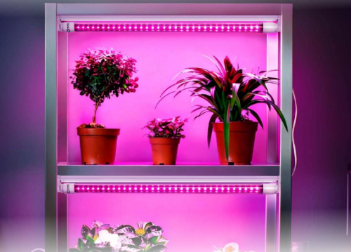 Лампа светодиодная LED-T8-ФИТО