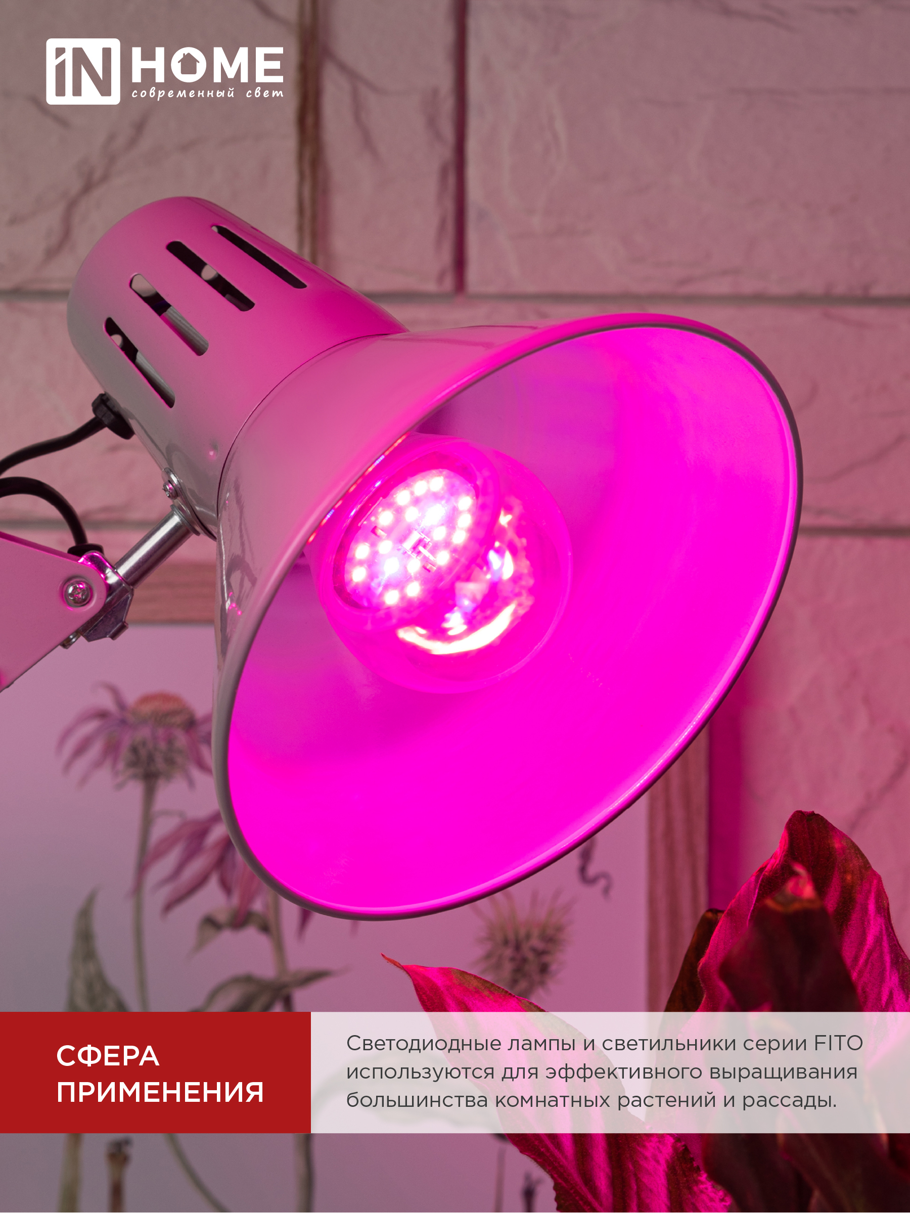 Лампа светодиодная LED-A60 STD-ФИТО красно-синий спектр 15Вт 230В Е27 IN HOME в Уссурийске