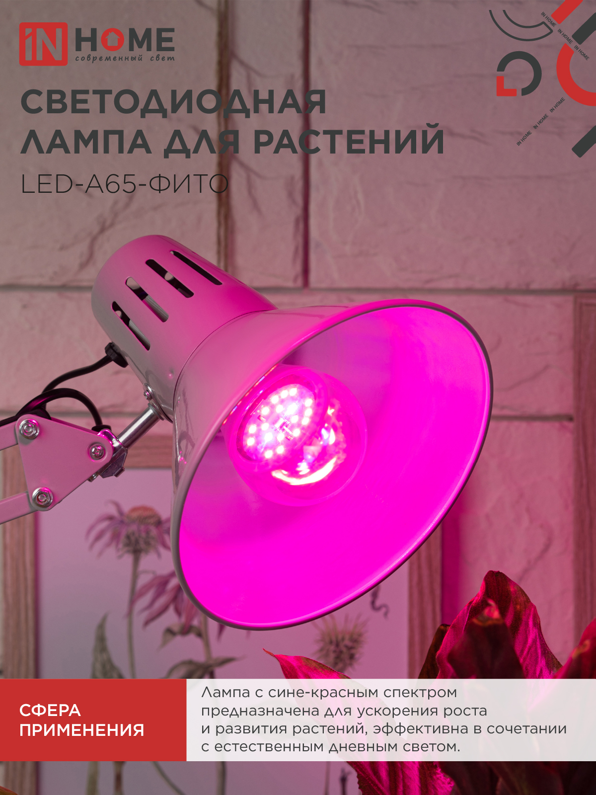 Лампа светодиодная LED-A65 STD-ФИТО красно-синий спектр 25Вт 230В Е27 IN HOME в Уссурийске