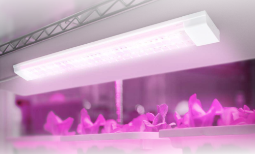 Светильник светодиодный СПБ-110 PRO-ФИТО