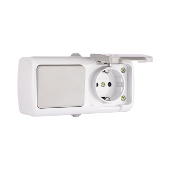 Мурманск Блок розетка 1-м 16А с заземлением с крышкой+ 1-кл выключатель IP54 серый EKF в Уссурийске