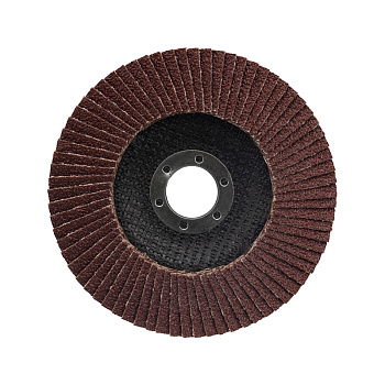 Круг лепестковый торцевой P 60 125х22,2 мм REXANT в Уссурийске