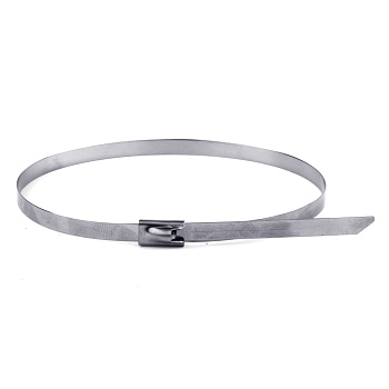 Хомут из нержавеющей стали AISI 304 4,6х300 DKC в Уссурийске