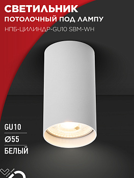 Светильник потолочный НПБ-ЦИЛИНДР-GU10 SBM-WH под GU10 55х100мм белый IN HOME в Уссурийске