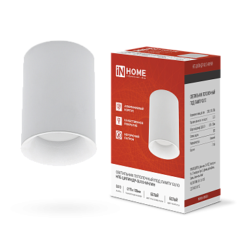 Светильник потолочный НПБ ЦИЛИНДР-GU10-WH/WH под лампу GU10 70x100мм белый IN HOME в Уссурийске