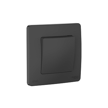 Переключатель одноклавишный  IP44 BLANCA SE антрацит в Уссурийске