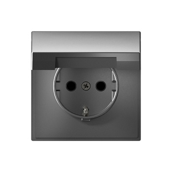 ARTGALLERY РОЗЕТКА с заземл. со шторк. с крышкой, 16А, IP20, механизм, СТАЛЬ в Уссурийске