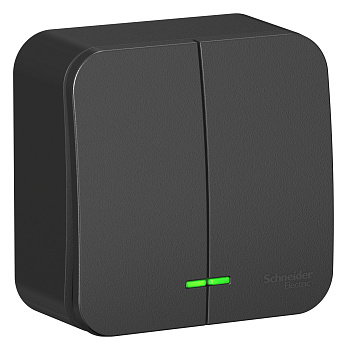 Выключатель двухклавишный BLANCA SE накладной с подсветкой с изолирующей пластиной антрацит в Уссурийске