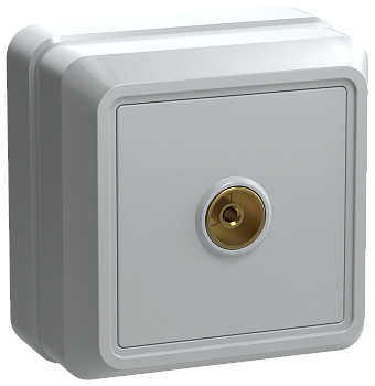 РТВ20-ОБ Розетка 1местная телевизионная ОКТАВА белый IEK в Уссурийске