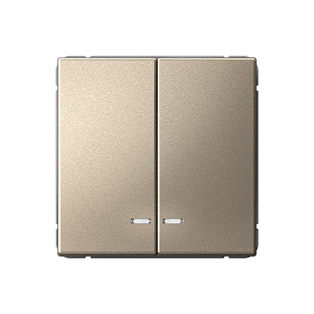 ARTGALLERY 2-клавишный ВЫКЛЮЧАТЕЛЬ с подсветкой, сх.5а, 10АХ, механизм, ШАМПАНЬ в Уссурийске