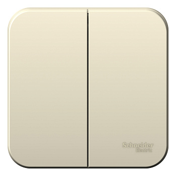 Выключатель двухклавишный BLANCA SE накладной с изолирующей пластиной молочный в Уссурийске