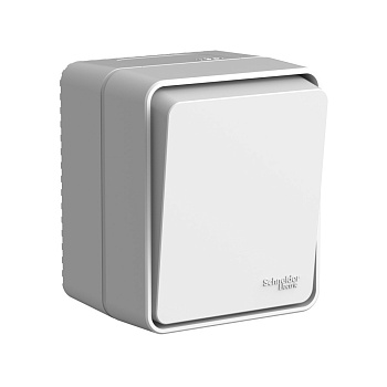 Выключатель одноклавишный AtlasDesign SE Profi54 накладной серый в Уссурийске