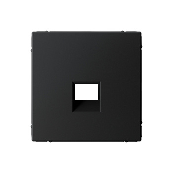 ARTGALLERY НАКЛАДКА для информационных функций типа Keystone, КАРБОН в Уссурийске