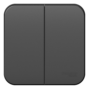 Выключатель двухклавишный BLANCA SE накладной с изолирующей пластиной антрацит в Уссурийске