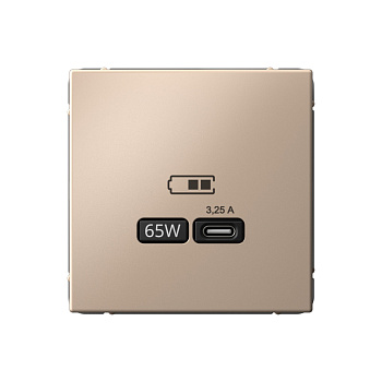 ARTGALLERY USB РОЗЕТКА тип-С 65Вт высокоскор.заряд. QC, PD, механизм, ПЕСОЧНЫЙ в Уссурийске