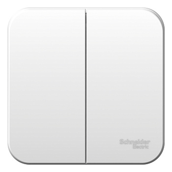 Выключатель двухклавишный (сх.5) BLANCA SE накладной с монтажной пластиной белый в Уссурийске